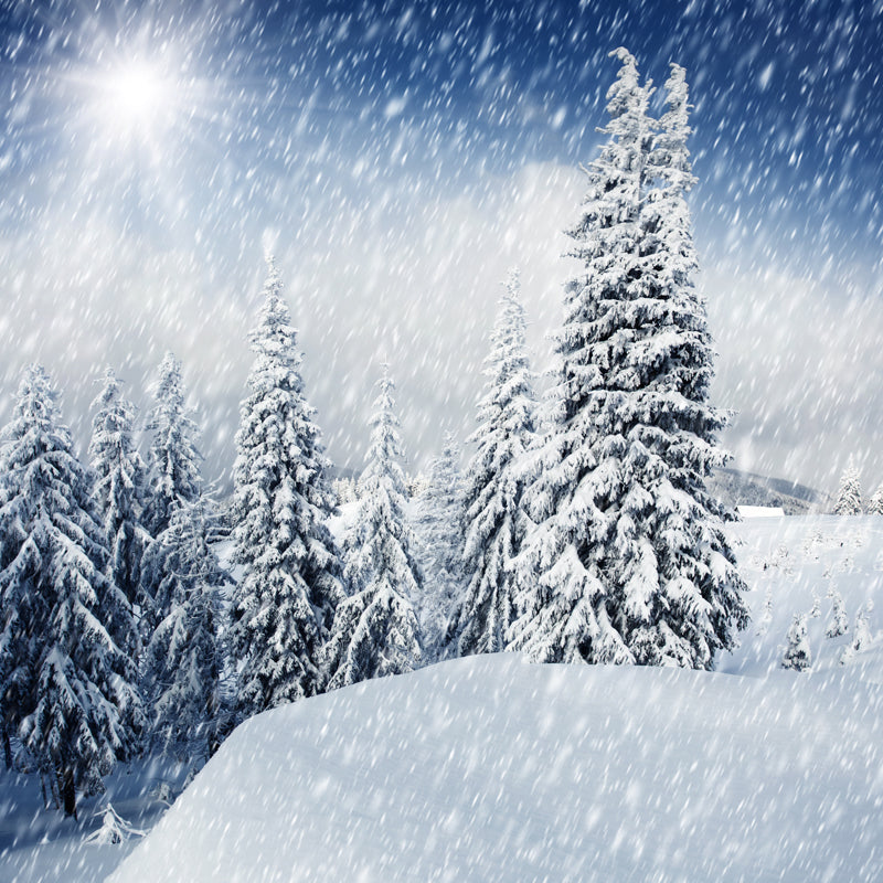 Cypress Winter Snowing Scenery Mural Modern Non-Woven Material Wall Decor in White Clearhalo 'Wall Decor' 'Wall Mural' 1502092