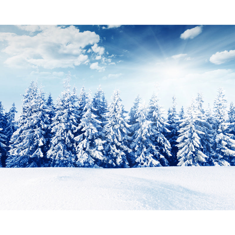 Blue Snowy Pine Trees Mural Decal Moisture Resistant Nordic Living Room Wall Art Clearhalo 'Wall Decor' 'Wall Mural' 1502097