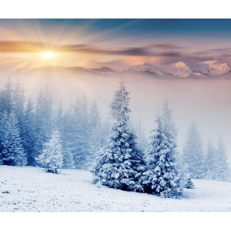 Modern Sunrise Snowy Cypress Mural Non-Woven Moisture Resistant Blue Wall Decor for Bedroom Clearhalo 'Wall Decor' 'Wall Mural' 1502112