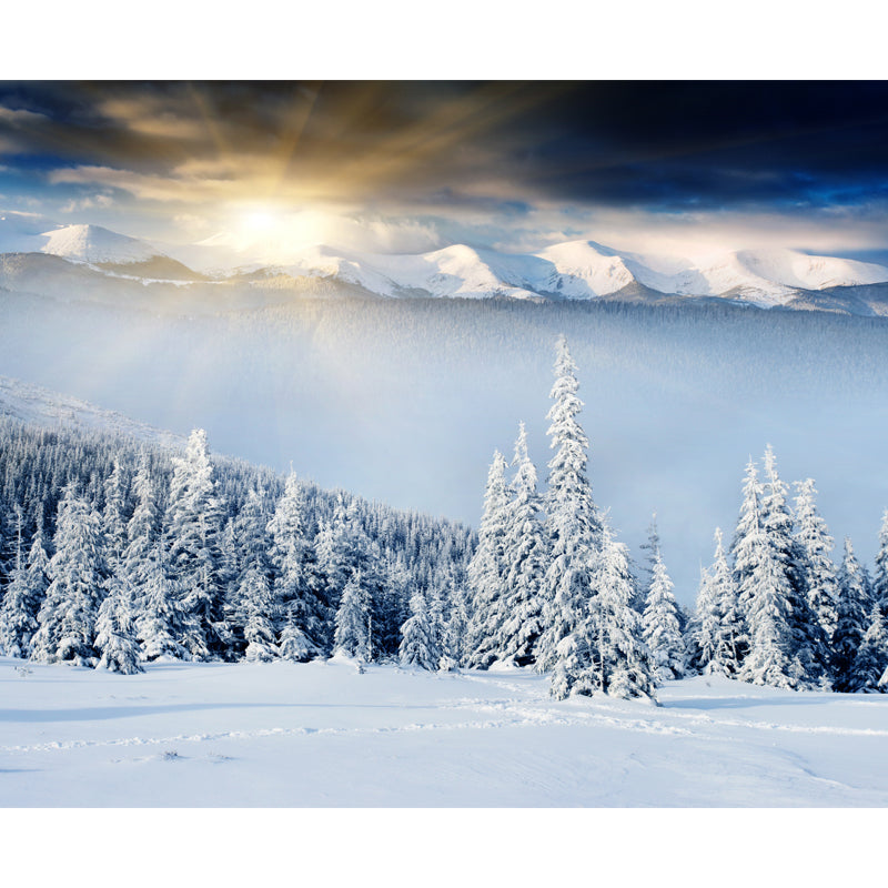 Morning Snowy Landscape Wall Mural Decal White Contemporary Wall Art for Bedroom Clearhalo 'Wall Decor' 'Wall Mural' 1502117