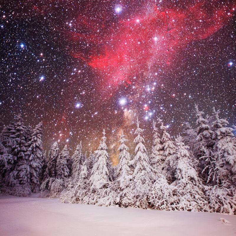 Magic Cypress Starry Night Mural Living Room Snowing Scenery Wall Decor, Custom Printed Clearhalo 'Wall Decor' 'Wall Mural' 1502142