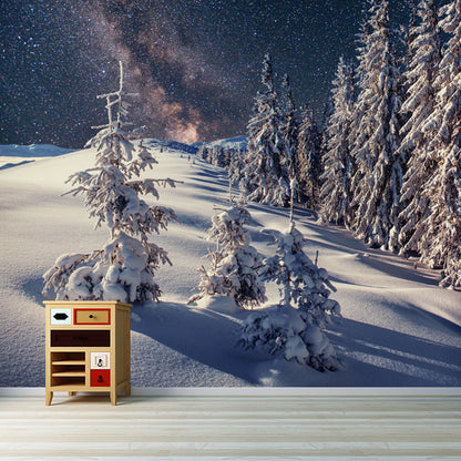 Nordic Milky Way Wallpaper Mural Grey Snowy Cypress Landscape Wall Decor for Home Grey Clearhalo 'Wall Decor' 'Wall Mural' 1502154