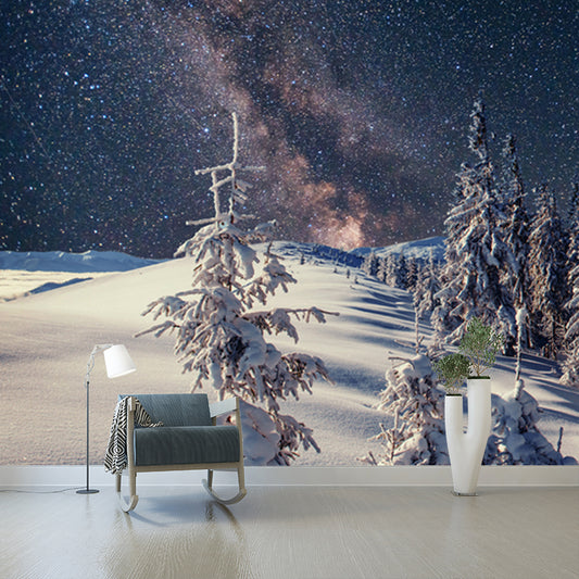 Nordic Milky Way Wallpaper Mural Grey Snowy Cypress Landscape Wall Decor for Home Clearhalo 'Wall Decor' 'Wall Mural' 1502156