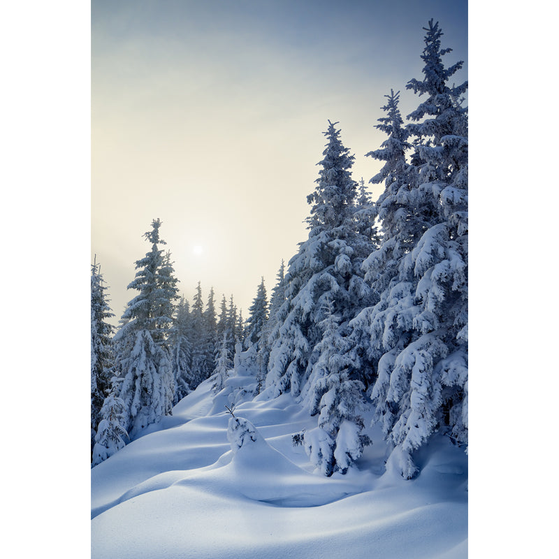 Cypress with Thick Snow Mural Modern Waterproofing Bedroom Wall Art, Made to Measure Clearhalo 'Wall Decor' 'Wall Mural' 1502182