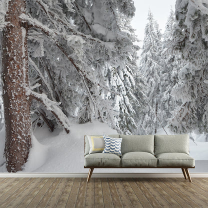 Cypress Forest after Snowfall Mural Grey Scandinavian Wall Covering for Accent Wall Grey Clearhalo 'Wall Decor' 'Wall Mural' 1502189