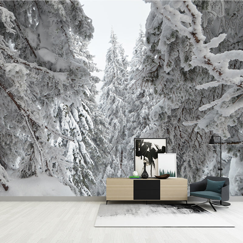Cypress Forest after Snowfall Mural Grey Scandinavian Wall Covering for Accent Wall Clearhalo 'Wall Decor' 'Wall Mural' 1502190