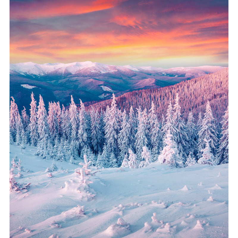 Orange Evening Glow Wall Mural Snowy Cypress Mountains Modern Waterproof Wall Covering Clearhalo 'Wall Decor' 'Wall Mural' 1502207