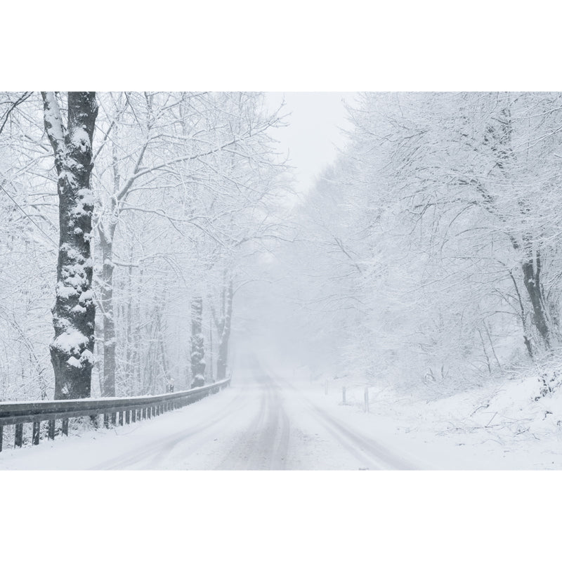 Misty Winter Roadside Forest Mural in White Modernism Wall Decoration for Bedroom Clearhalo 'Wall Decor' 'Wall Mural' 1502227