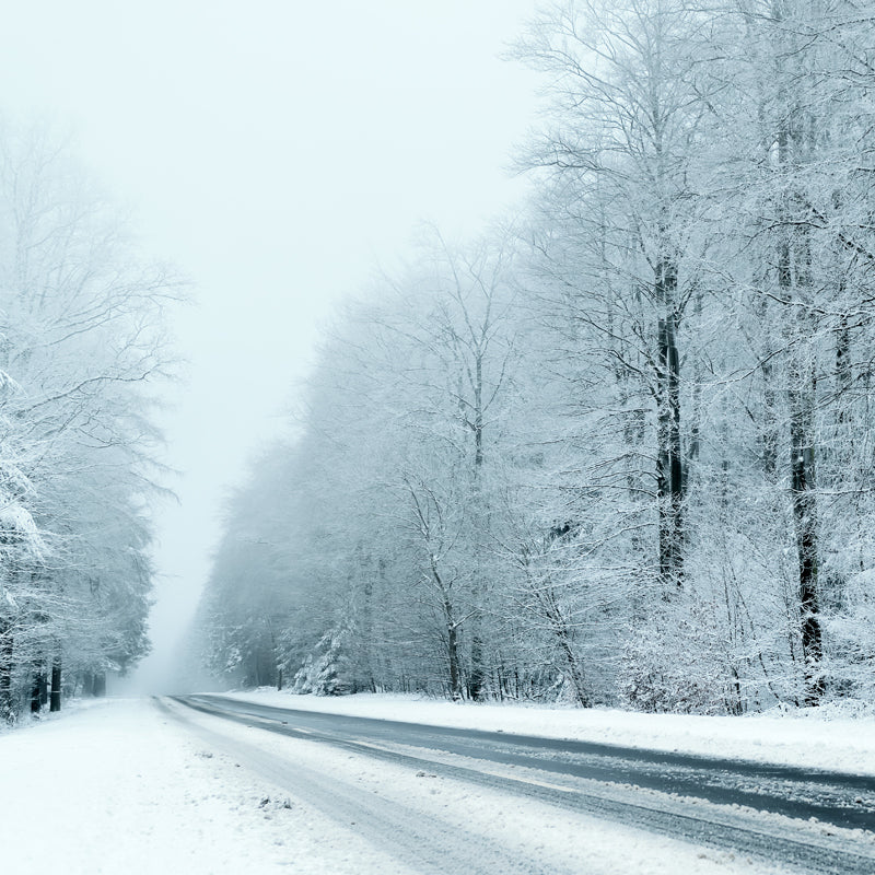 Photography Highway Snow Forest Mural Large Size Wall Covering for Home, Custom Print Clearhalo 'Wall Decor' 'Wall Mural' 1502232