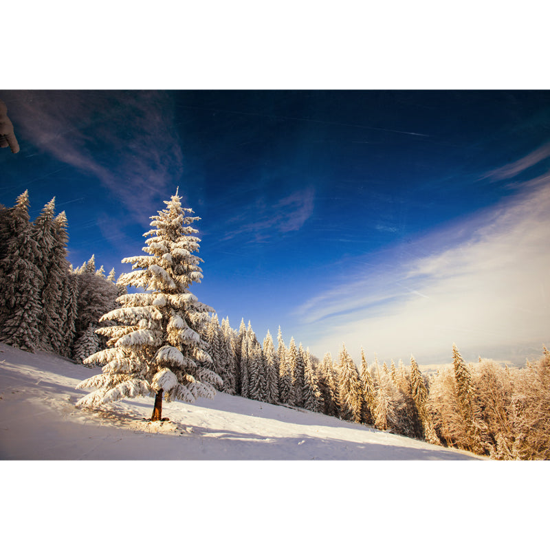 Huge Modern Mural Blue-White Snow Cypress Mountain with Clean Sky Wall Covering, Custom Made Clearhalo 'Wall Decor' 'Wall Mural' 1502247