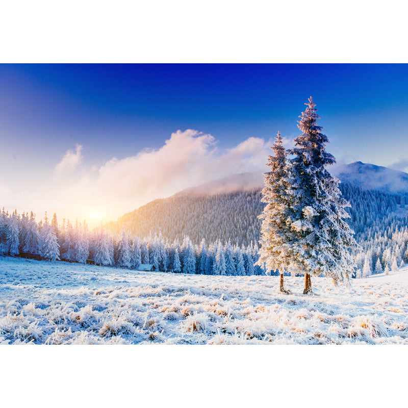 Blue Snow Mountain Sunrise Mural Stain-Proof Wall Art for Home Gallery, Made to Measure Clearhalo 'Wall Decor' 'Wall Mural' 1502252