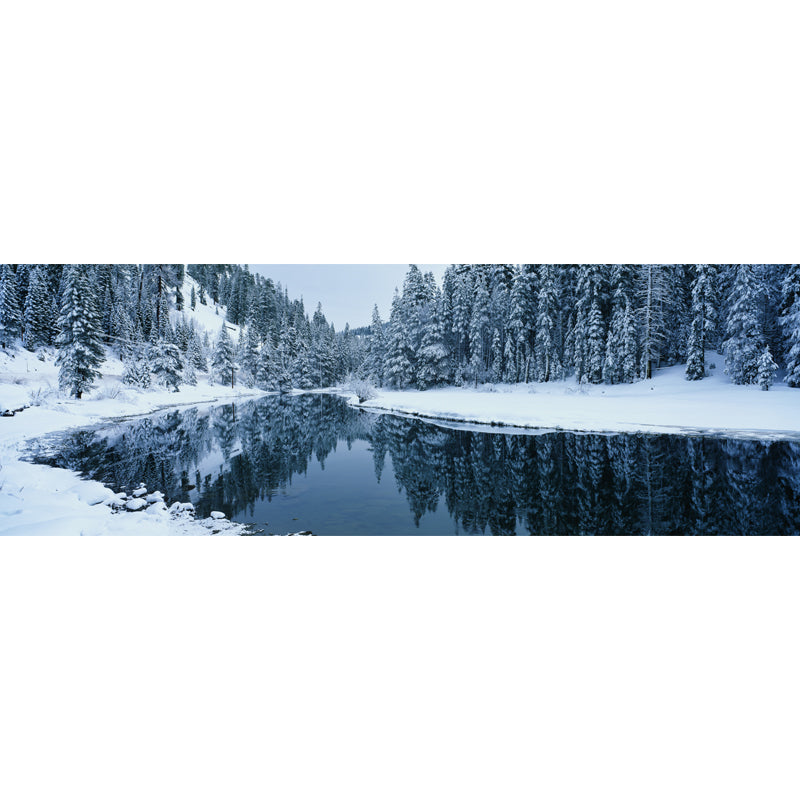 Lake Across Snow Forest Mural Green Modernist Wall Covering for Accent Wall, Custom Printed Clearhalo 'Wall Decor' 'Wall Mural' 1502332