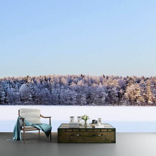 Snowy Forest Open Land Mural Modern Stain Resistant Bedroom Wall Art, Custom Made Clearhalo 'Wall Decor' 'Wall Mural' 1502336