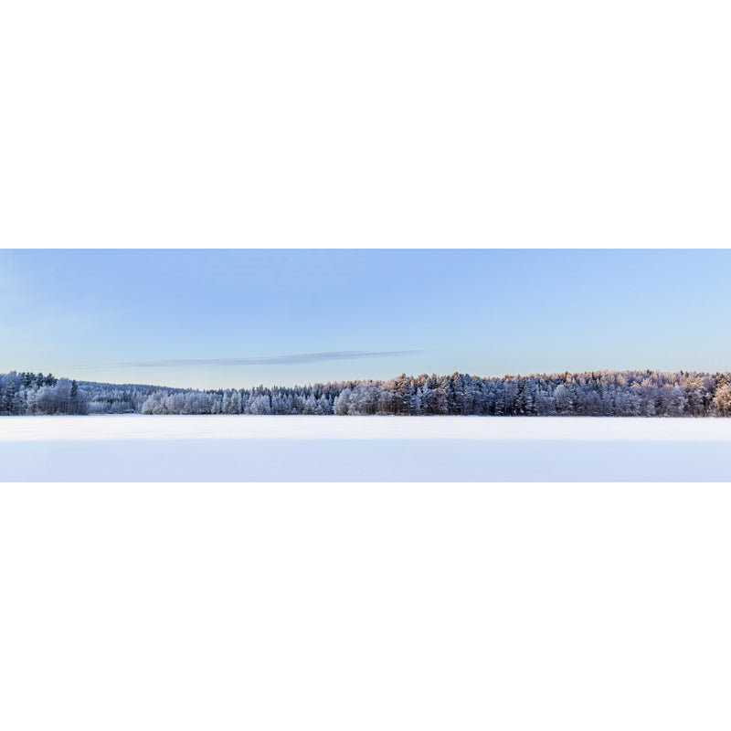 Snowy Forest Open Land Mural Modern Stain Resistant Bedroom Wall Art, Custom Made Clearhalo 'Wall Decor' 'Wall Mural' 1502337