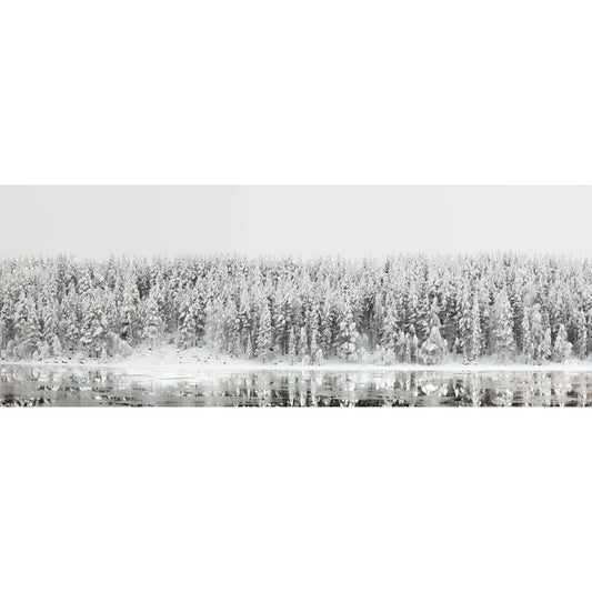 Modern Riverside Snowy Forest Mural Above Bed Personalized Size Wall Art in Grey Clearhalo 'Wall Decor' 'Wall Mural' 1502357