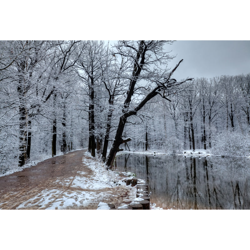 Lake Reflection Snowy Tree Mural Wallpaper Grey Modern Wall Covering for Bedroom Clearhalo 'Wall Decor' 'Wall Mural' 1502556