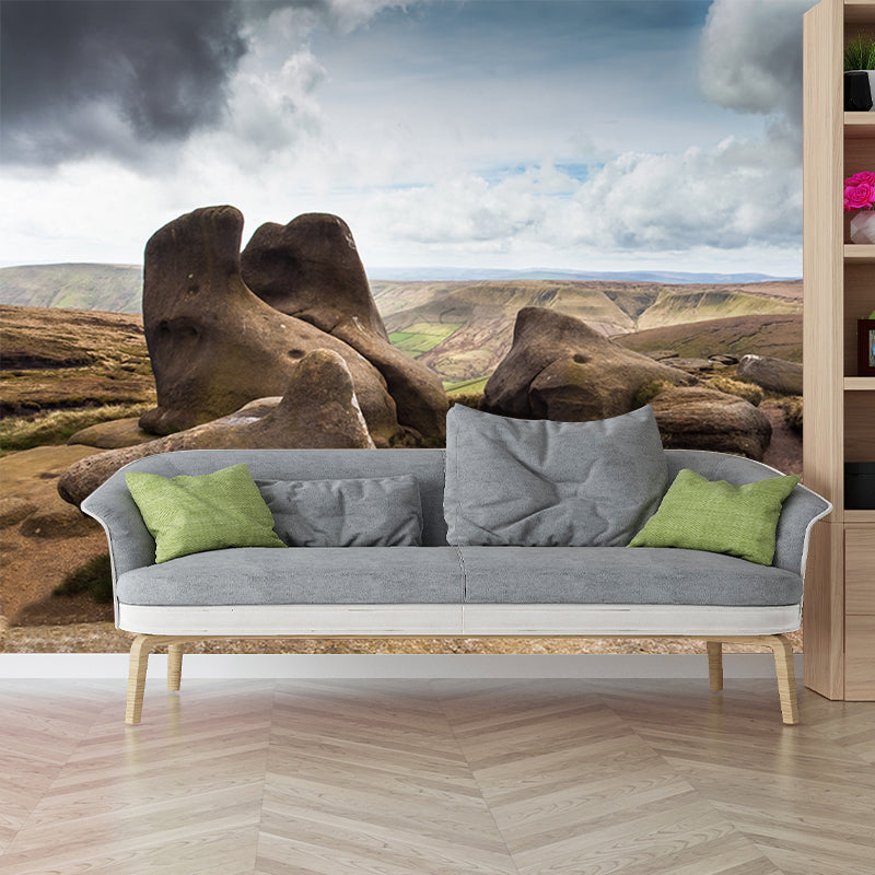 Photography Rocks Wall Mural Decal Huge Wall Decor for Corridor, Custom Size Available Brown Clearhalo 'Wall Decor' 'Wall Mural' 1505093