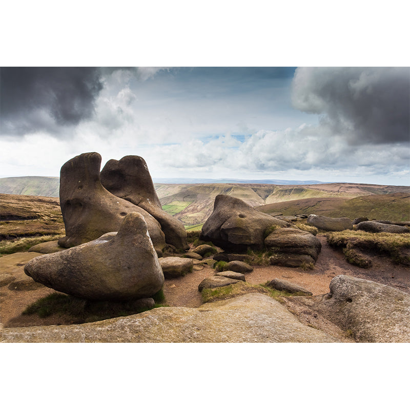 Photography Rocks Wall Mural Decal Huge Wall Decor for Corridor, Custom Size Available Clearhalo 'Wall Decor' 'Wall Mural' 1505096