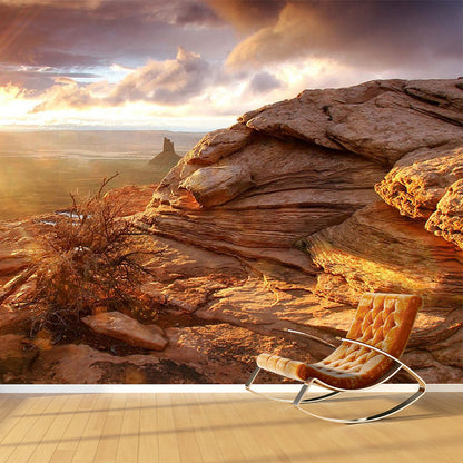 Brown Savannas Sunset View Mural Stain Resistant Modern Living Room Wall Covering Brown Clearhalo 'Wall Decor' 'Wall Mural' 1505103