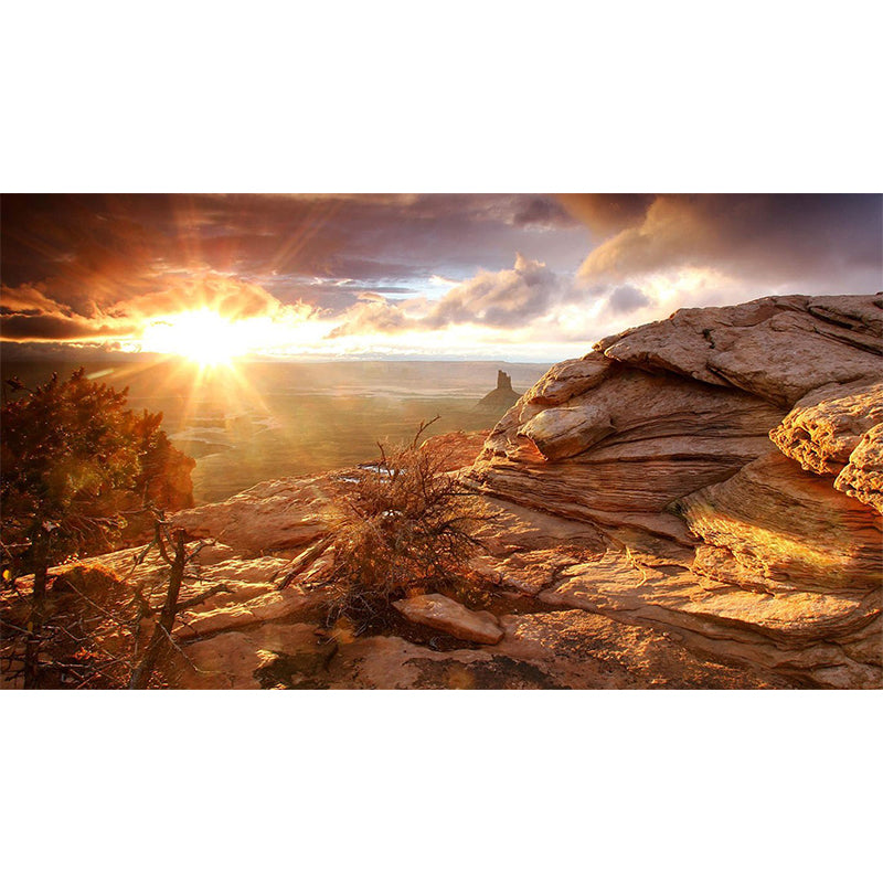 Brown Savannas Sunset View Mural Stain Resistant Modern Living Room Wall Covering Clearhalo 'Wall Decor' 'Wall Mural' 1505106