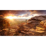 Brown Savannas Sunset View Mural Stain Resistant Modern Living Room Wall Covering Clearhalo 'Wall Decor' 'Wall Mural' 1505106