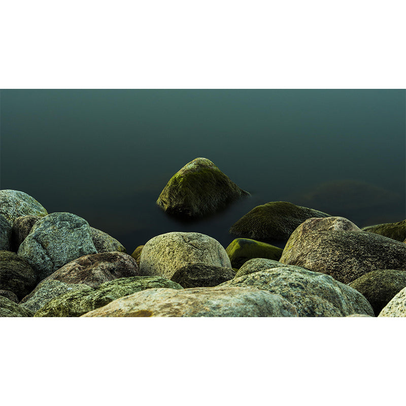 Contemporary Stone River Shore Mural for Ceiling Personalized Wall Decor in Green Clearhalo 'Wall Decor' 'Wall Mural' 1505146