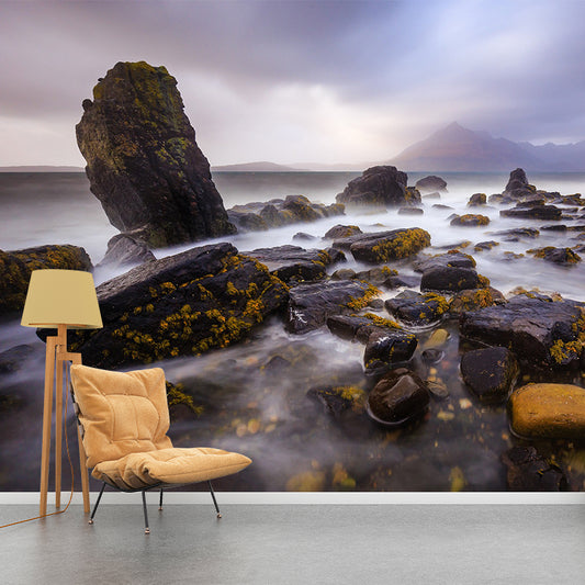 Modernism River Stones Mural Wallpaper Grey Stain Resistant Wall Covering for Home Clearhalo 'Wall Decor' 'Wall Mural' 1505169