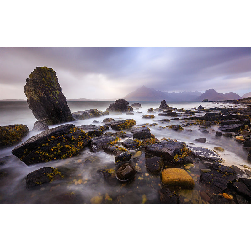 Modernism River Stones Mural Wallpaper Grey Stain Resistant Wall Covering for Home Clearhalo 'Wall Decor' 'Wall Mural' 1505171