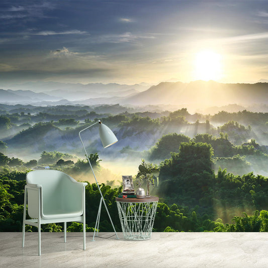 Big Scenery Wallpaper Mural Modern Aerial View of Sun Shines Across Forest Wall Decor in Green