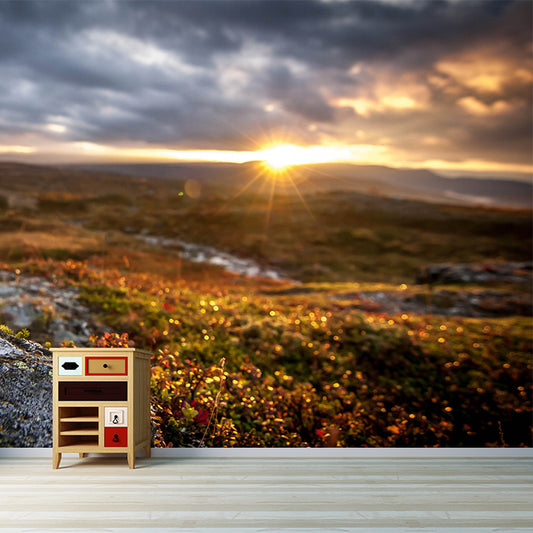 Custom Size Photography Modern Mural with Brown First Ray of Sunshine in Wilds Wall Art, Custom Print Clearhalo 'Wall Decor' 'Wall Mural' 1505334