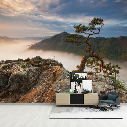 Brown Contemporary Mural Wallpaper Whole Pine Tree at Peak of Foggy Mountain Wall Art for Home Brown Clearhalo 'Wall Decor' 'Wall Mural' 1505348