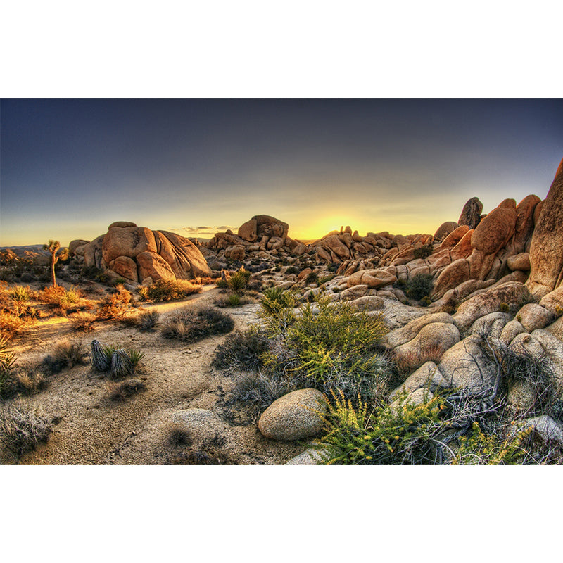 Photography Rock Stone Wall Mural for Living Room, Brown, Personalized Size Available Clearhalo 'Wall Decor' 'Wall Mural' 1505371