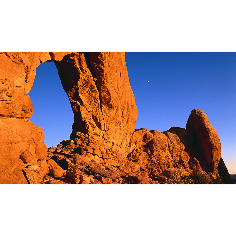 Orange Arches National Park Mural Decal Stain Resistant Modern Hallway Wall Art, Custom Size Clearhalo 'Wall Decor' 'Wall Mural' 1505416