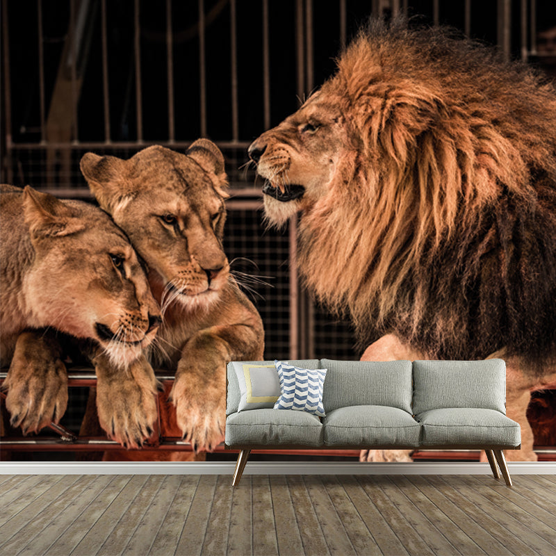 Brown Modern Wallpaper Mural Large Male Lion with Its Wives Wall Art for Bedroom Brown Clearhalo 'Wall Decor' 'Wall Mural' 1508295