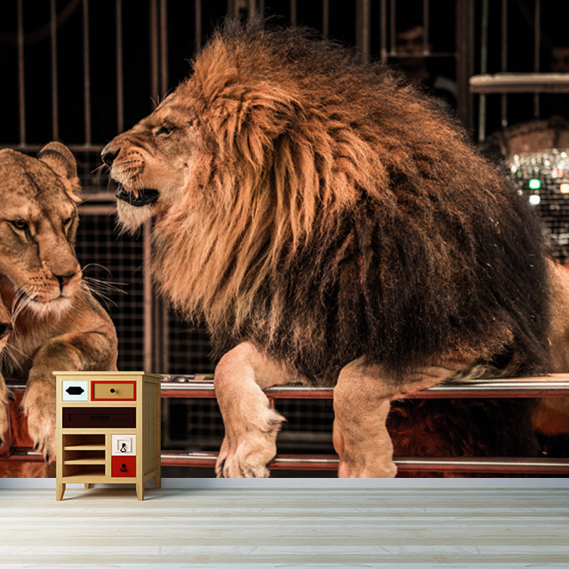 Brown Modern Wallpaper Mural Large Male Lion with Its Wives Wall Art for Bedroom Clearhalo 'Wall Decor' 'Wall Mural' 1508296