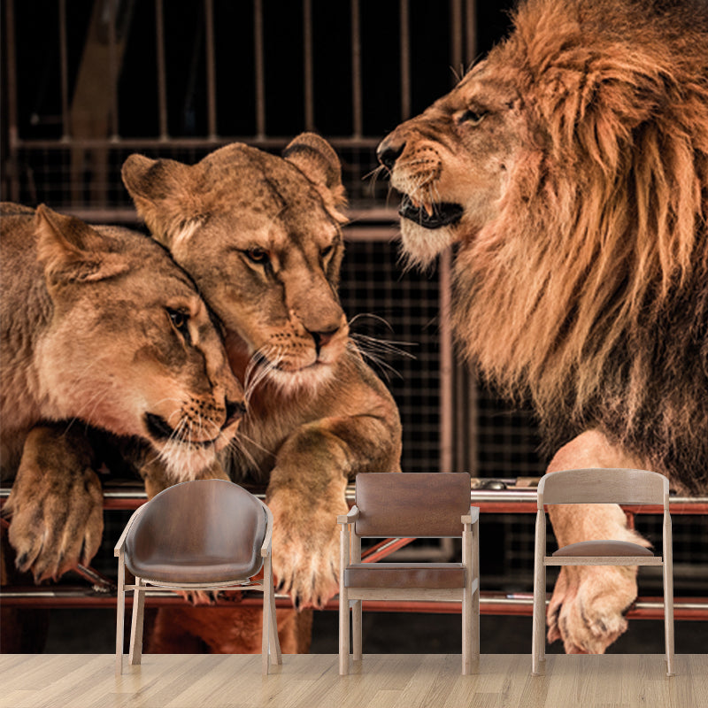 Brown Modern Wallpaper Mural Large Male Lion with Its Wives Wall Art for Bedroom Clearhalo 'Wall Decor' 'Wall Mural' 1508297
