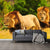 Yellow Lion Mural Wallpaper Moisture Resistant Modern Bedroom Wall Decor, Custom Size Yellow Clearhalo 'Wall Decor' 'Wall Mural' 1508305