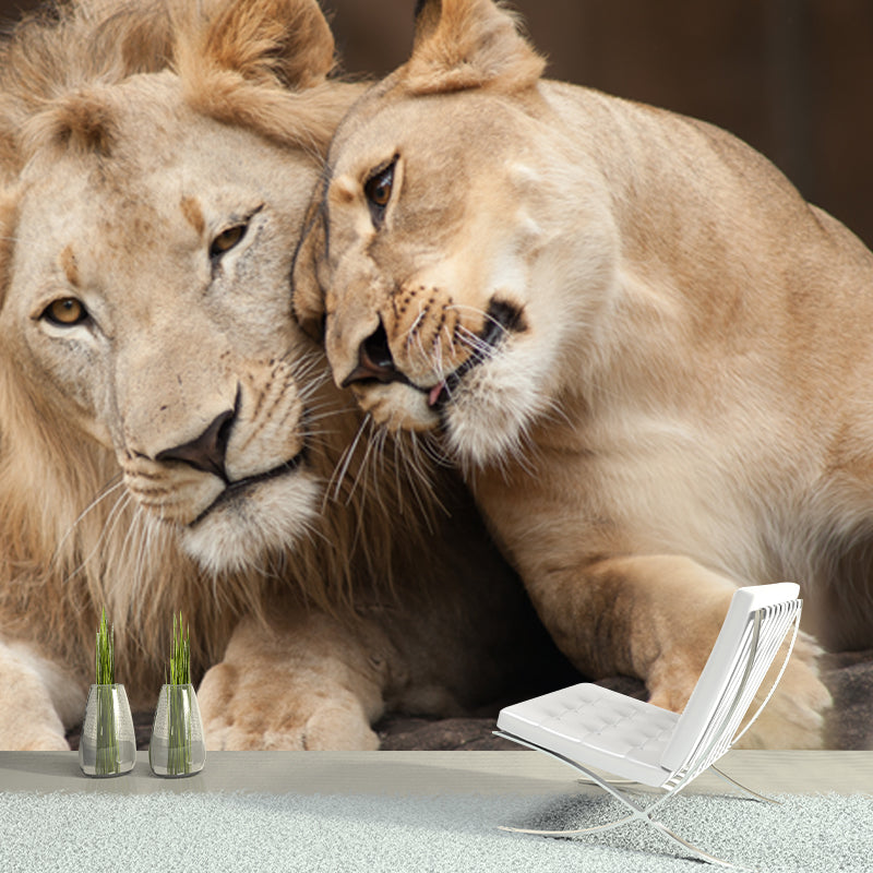 Brown Lover Lion Wallpaper Mural Waterproofing Wall Art for Living Room, Made to Measure Clearhalo 'Wall Decor' 'Wall Mural' 1508311
