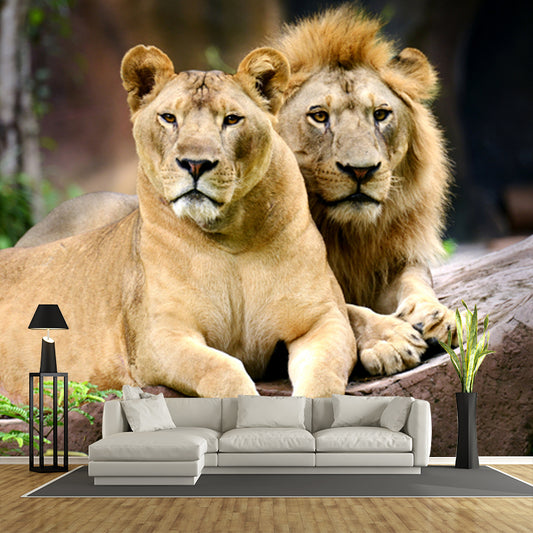 Lions Lying on Stone Mural Brown Contemporary Wall Covering for Living Room, Custom Print Clearhalo 'Wall Decor' 'Wall Mural' 1508331