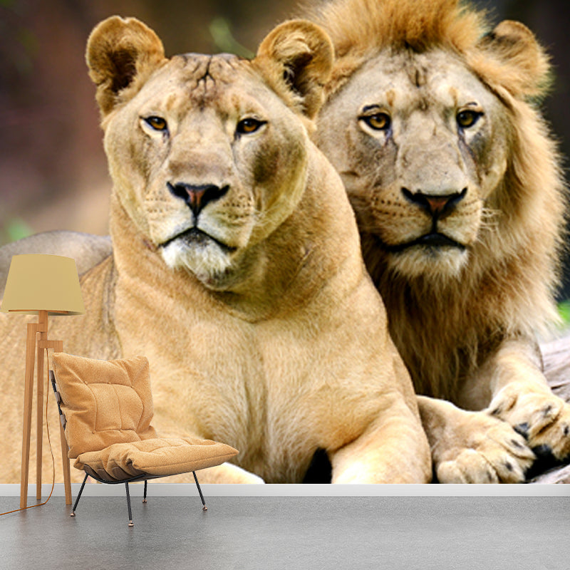 Lions Lying on Stone Mural Brown Contemporary Wall Covering for Living Room, Custom Print Clearhalo 'Wall Decor' 'Wall Mural' 1508332