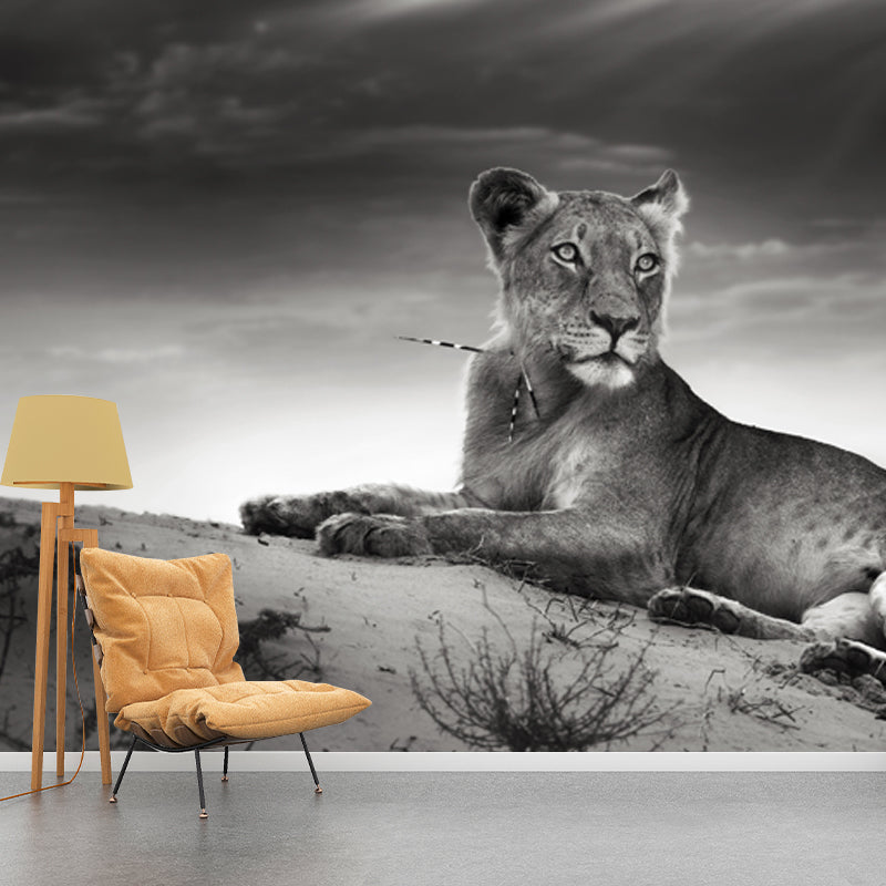 Grey Desert Lion Wallpaper Mural Waterproofing Modernist Bedroom Wall Decoration Clearhalo 'Wall Decor' 'Wall Mural' 1508336