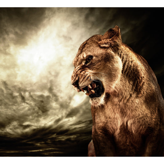 Photography Angry Lion Wall Mural Full-Size Wall Art for Living Room, Made to Measure Clearhalo 'Wall Decor' 'Wall Mural' 1508358