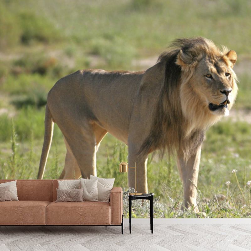 Green Modern Wall Paper Mural Big Lion Walking Wall Decor for Bedroom, Non-Woven Clearhalo 'Wall Decor' 'Wall Mural' 1508361