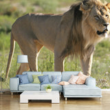 Green Modern Wall Paper Mural Big Lion Walking Wall Decor for Bedroom, Non-Woven Clearhalo 'Wall Decor' 'Wall Mural' 1508362