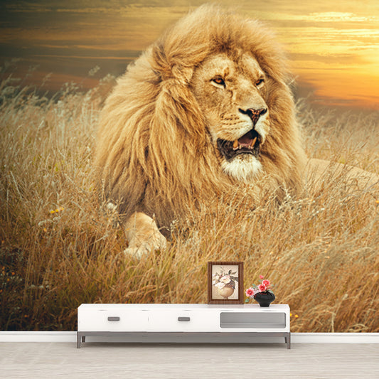 Contemporary Wild Animal Mural Brown Lion Lying on Ground at Sunset Wall Covering Clearhalo 'Wall Decor' 'Wall Mural' 1508366