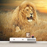 Contemporary Wild Animal Mural Brown Lion Lying on Ground at Sunset Wall Covering Clearhalo 'Wall Decor' 'Wall Mural' 1508366