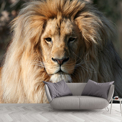 Modern Boys Wall Mural Decal with Lion Head Pattern Brown Wall Art for Living Room Brown Clearhalo 'Wall Decor' 'Wall Mural' 1508370