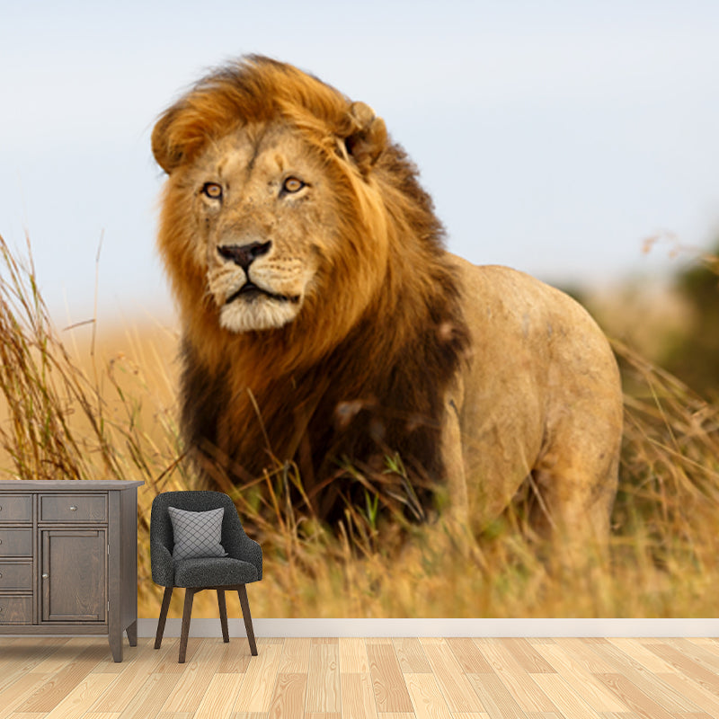 Brown King of Savannas Mural Lion Modern Style Moisture Resistant Wall Decor for Home Clearhalo 'Wall Decor' 'Wall Mural' 1508377