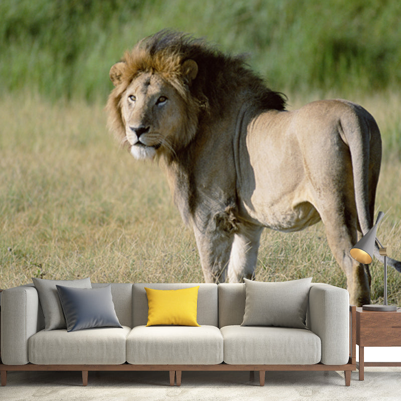 Lion in Savannas Wall Mural Modern Style Smooth Wall Art in Green for Living Room Green Clearhalo 'Wall Decor' 'Wall Mural' 1508385
