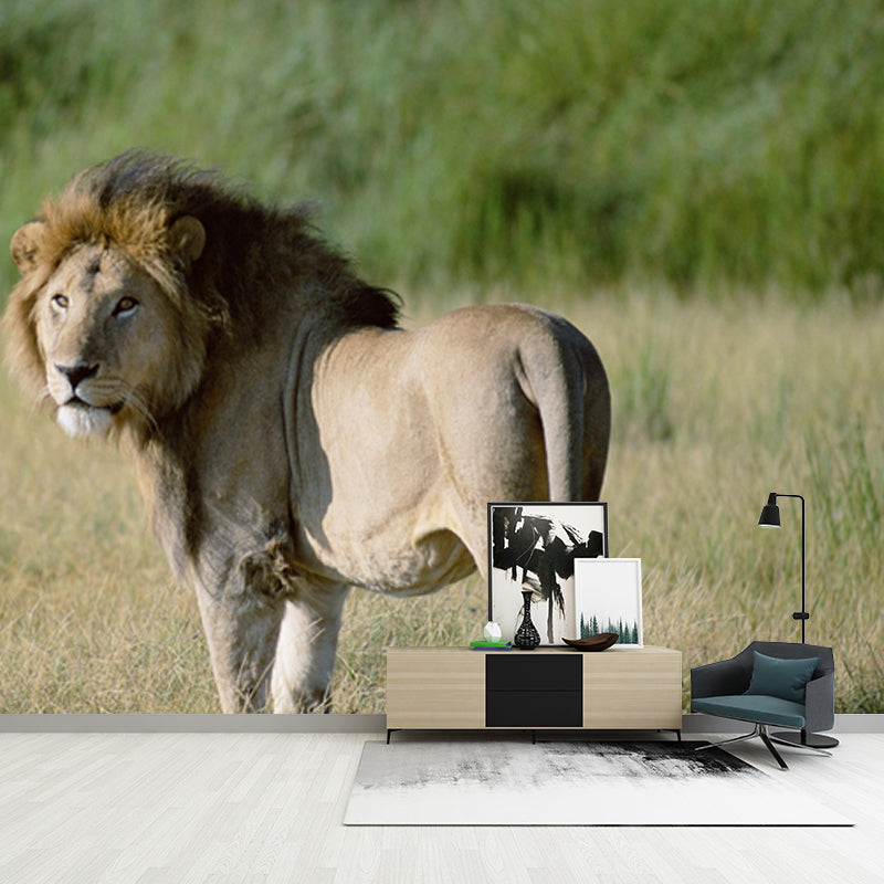 Lion in Savannas Wall Mural Modern Style Smooth Wall Art in Green for Living Room Clearhalo 'Wall Decor' 'Wall Mural' 1508387